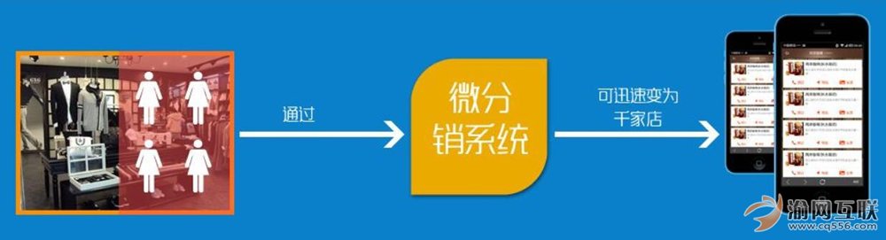 业务范围