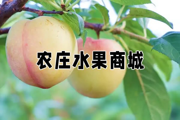 主页 > 应用案例 > 正文